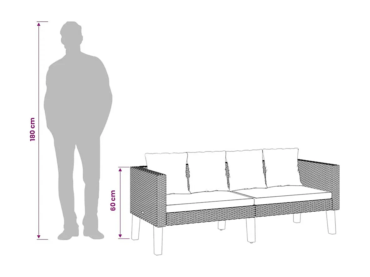 Canapé de jardin à 2 places avec coussins Résine tressée Beige