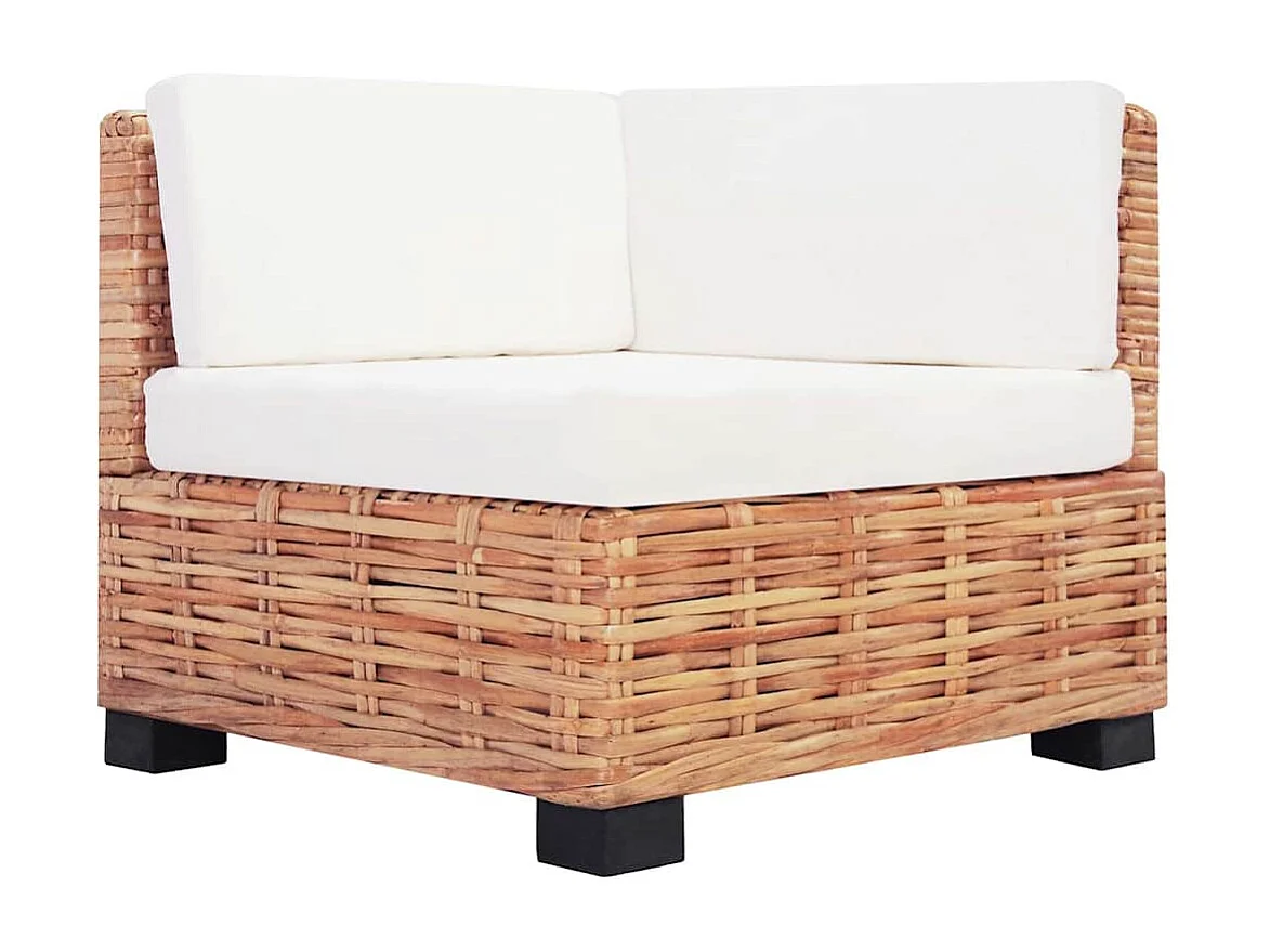 Ensemble de canapés 16 pcs Rotin naturel