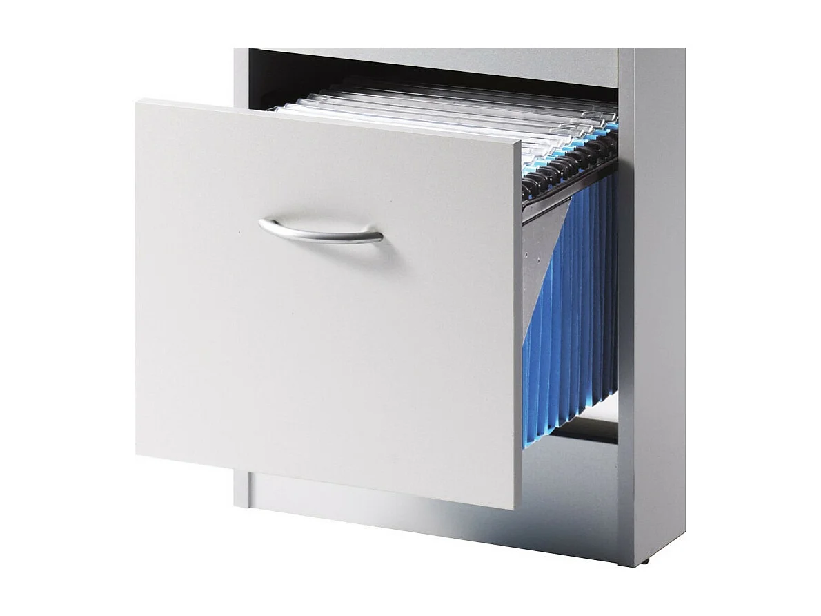 Classeur 2 Tiroirs Pour 50 Dossiers Suspendus 41,4 x 76,4 x 44 cm - Coloris: Aluminium