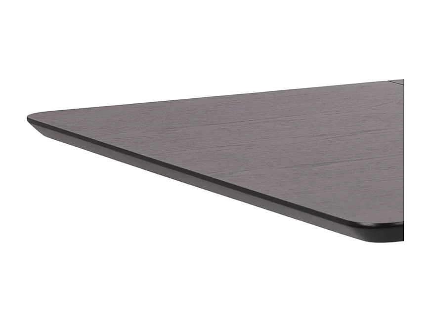 Roxby Esstisch inkl. 1 zusätzlicher Teller 40cm schwarz.