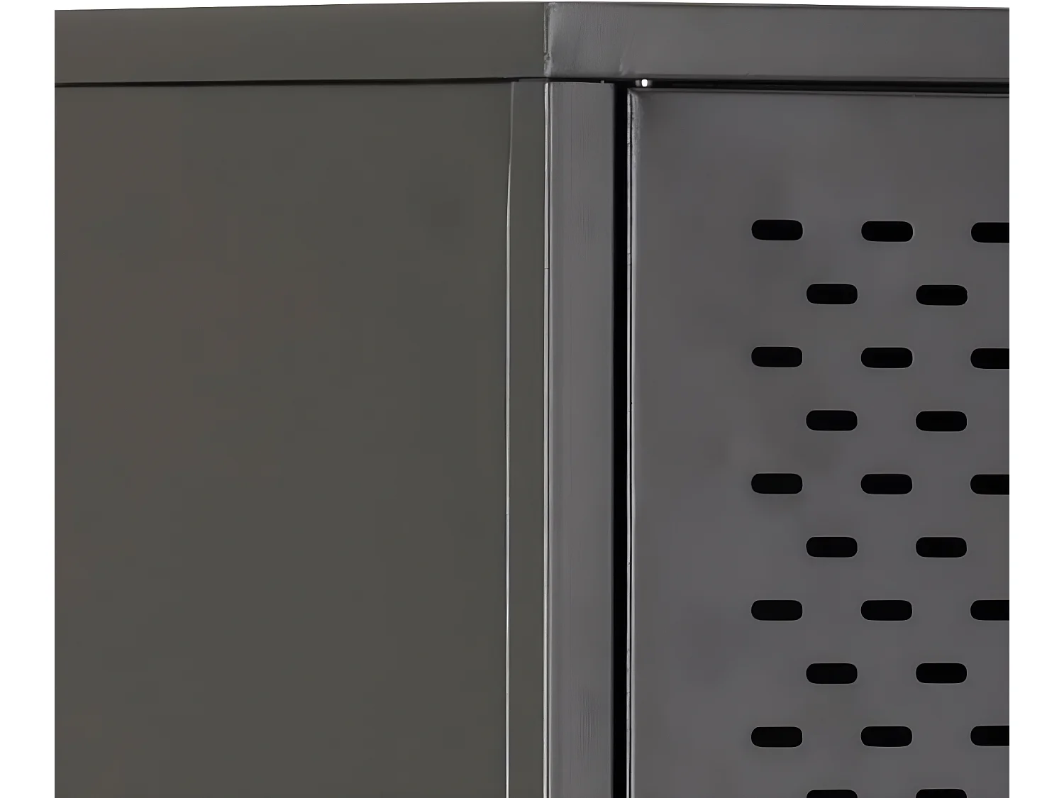 Newbor vitrinekast met 2 metalen gaasdeuren zwart.