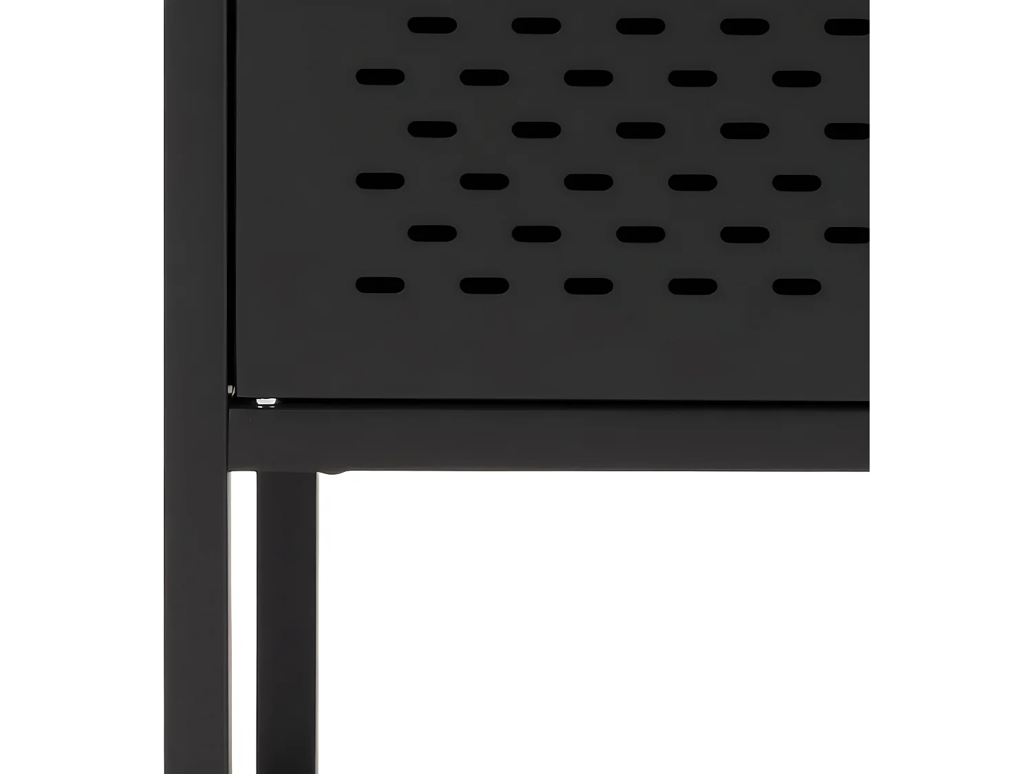 Newbor vitrinekast met 2 metalen gaasdeuren zwart.