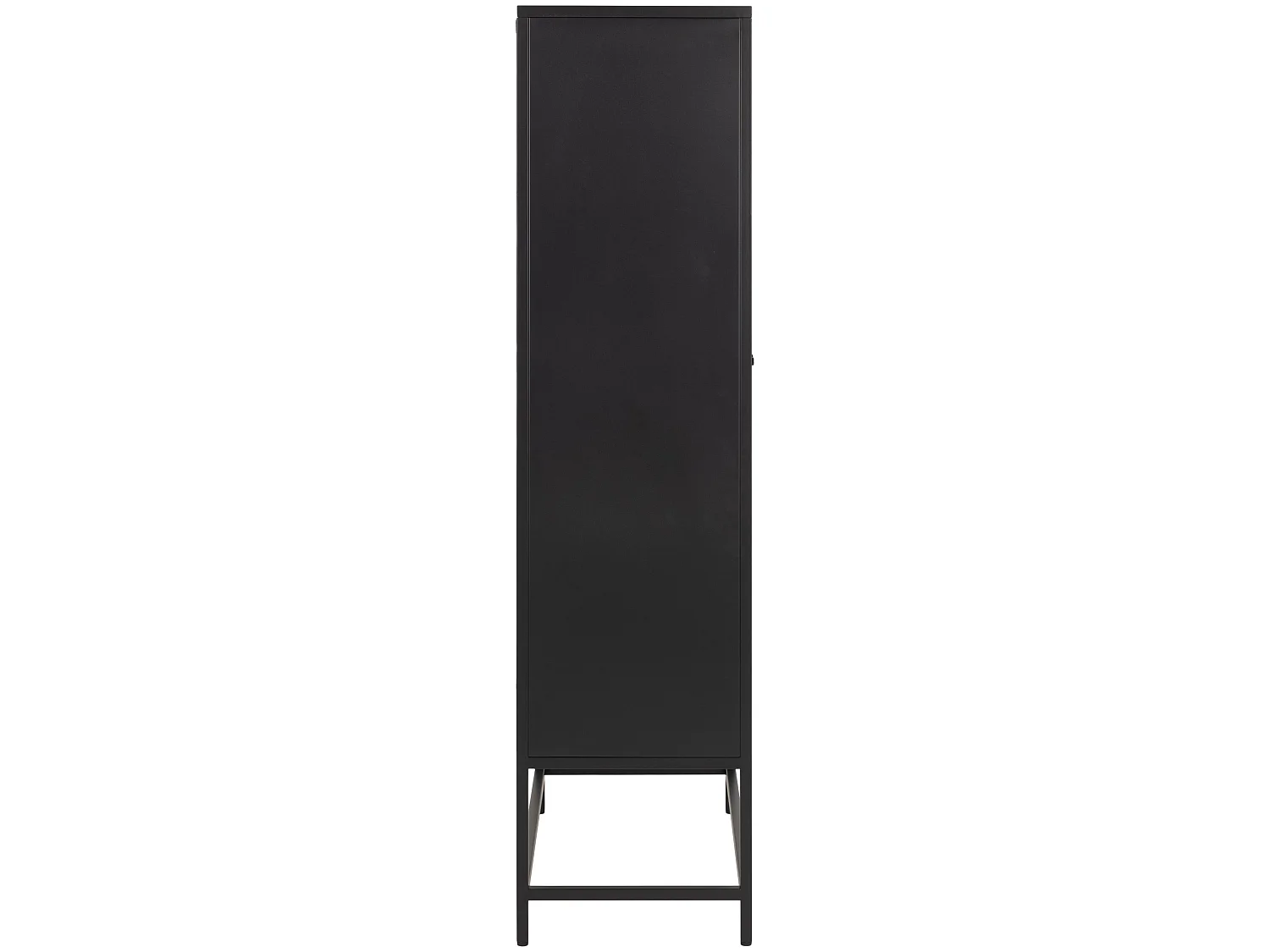 Newbor vitrinekast met 2 metalen gaasdeuren zwart.