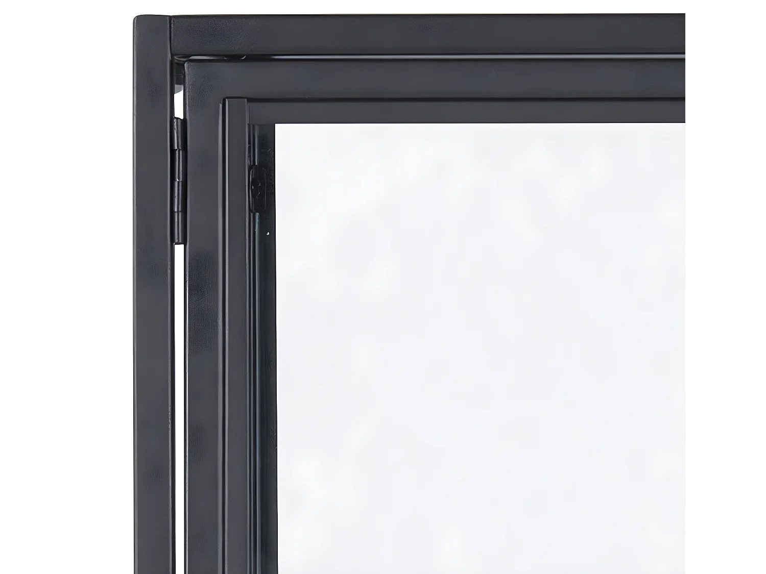 Sea vitrinekast met 2 glazen deuren en 3 schappen, zwart.