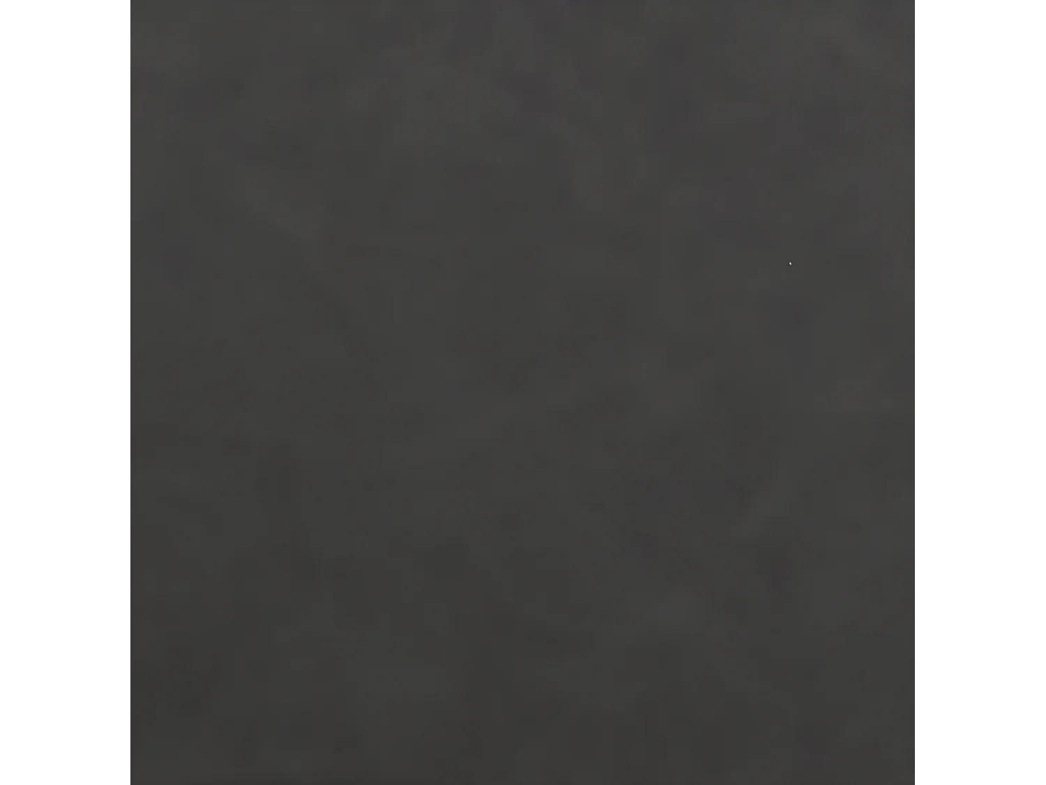 Chris eetkamerstoel met armleuningen grijs.