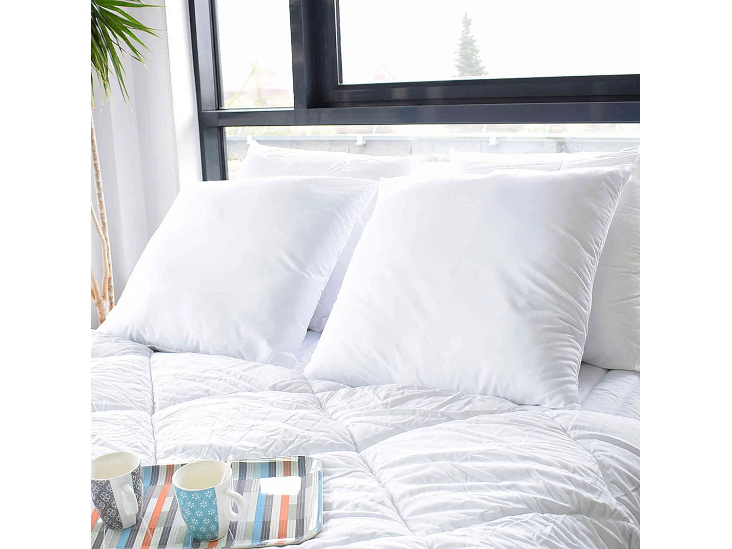 Lot de 2 oreillers protection anti-acariens 60x60