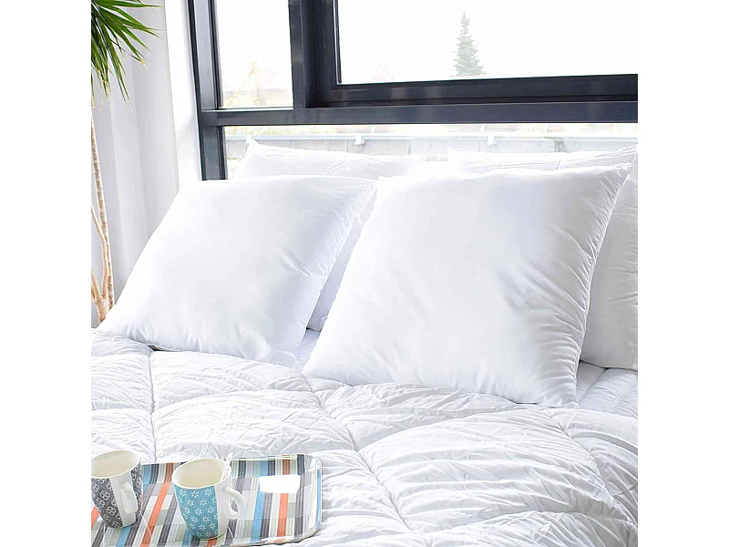 Lot de 2 oreillers protection anti-acariens 60x60