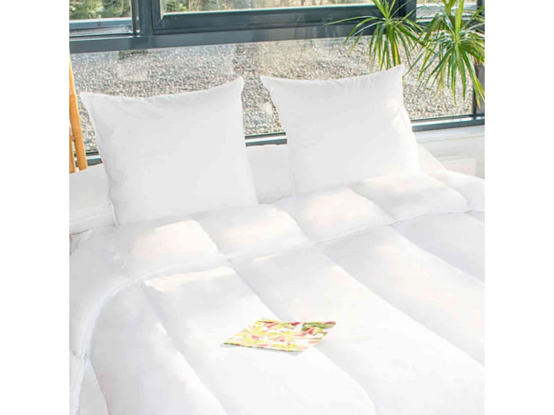 Lot de 2 oreillers haute lavabilité 95°C 60x60