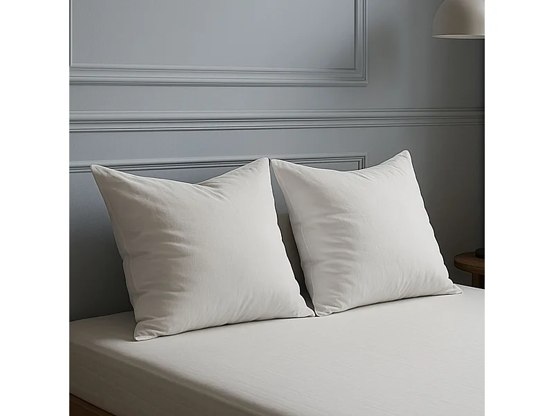 Lot de 2 oreillers grand confort 60x60