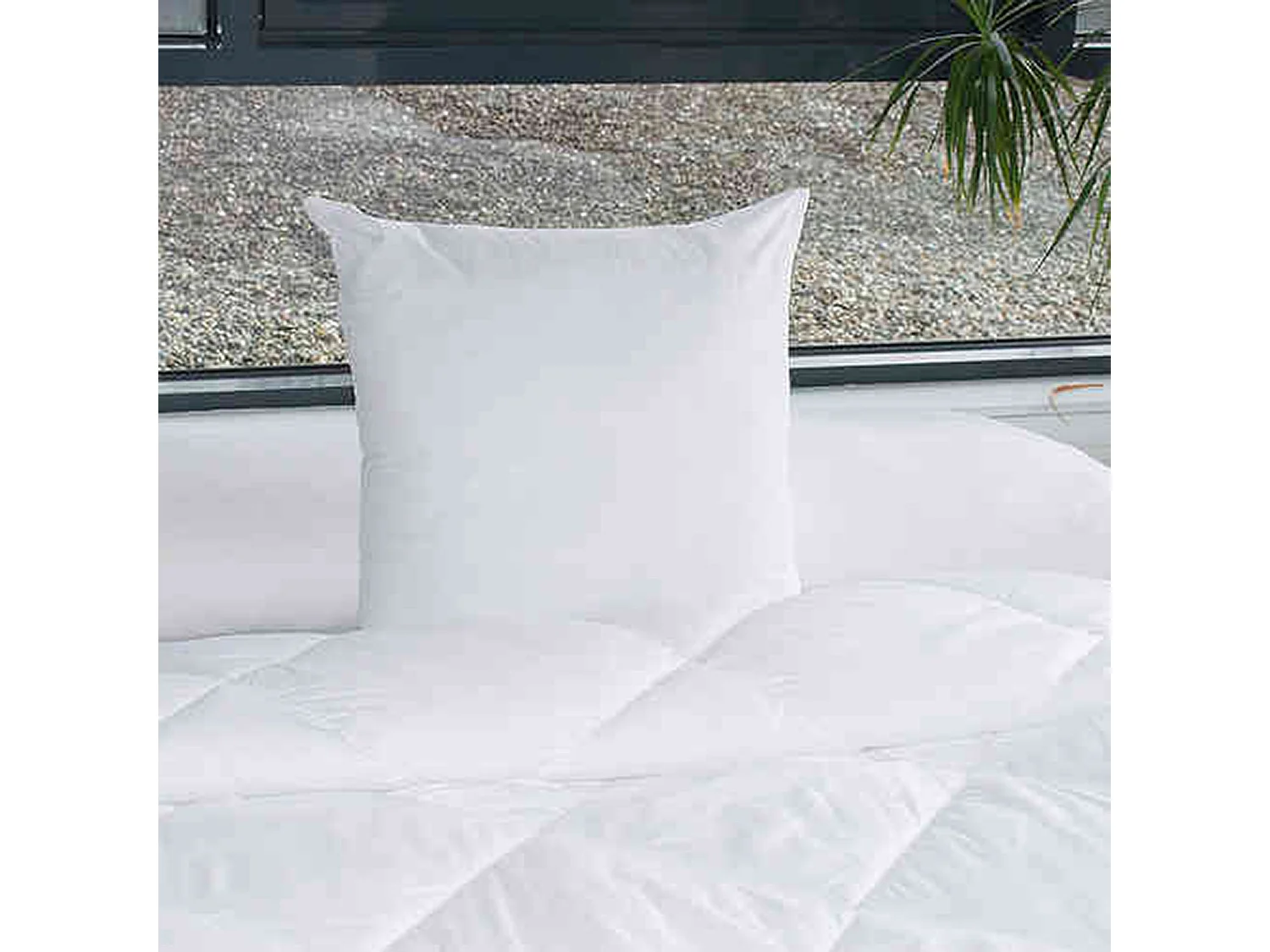 Oreiller grand confort 60x60 cm