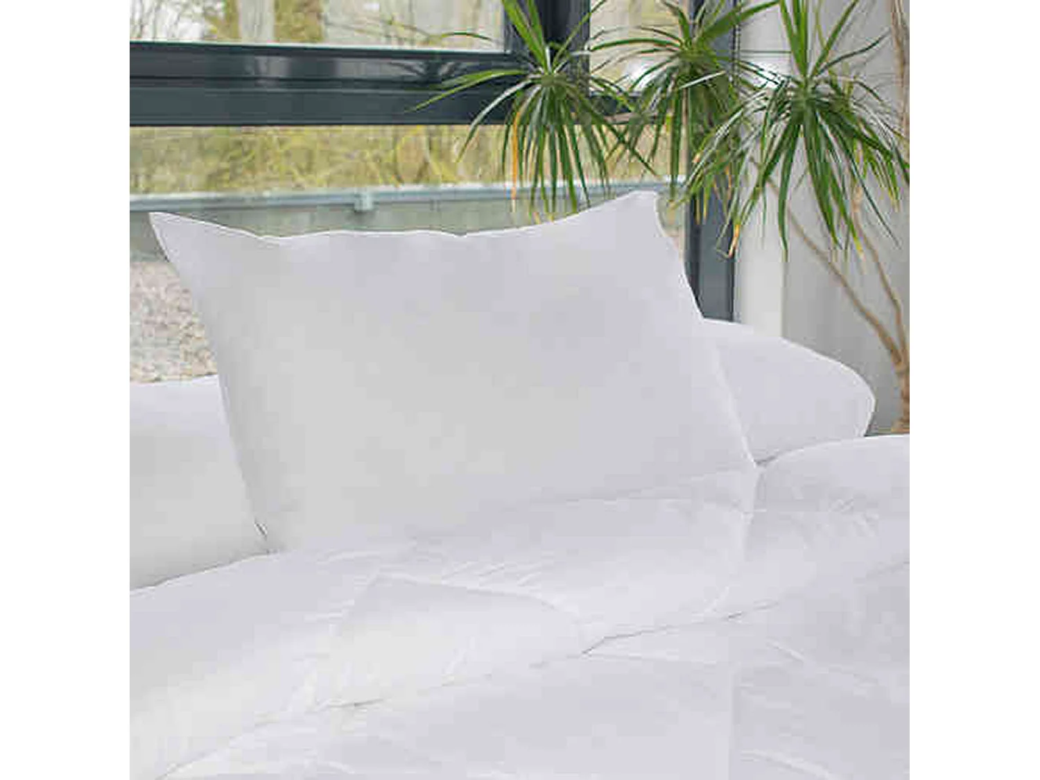Oreiller grand confort 60x60 cm