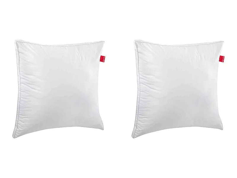 Lot de 2 oreillers Epeda Aloe Vera confort moelleux anti-acariens 65x65