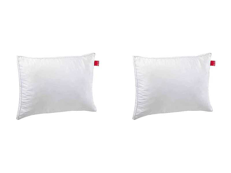 Lot de 2 oreillers Epeda Aloe Vera confort moelleux anti-acariens 50x70