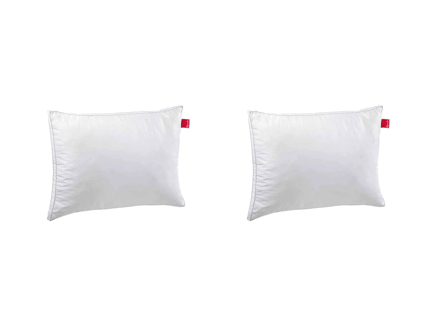 Lot de 2 oreillers Epeda Aloe Vera confort moelleux anti-acariens 50x70