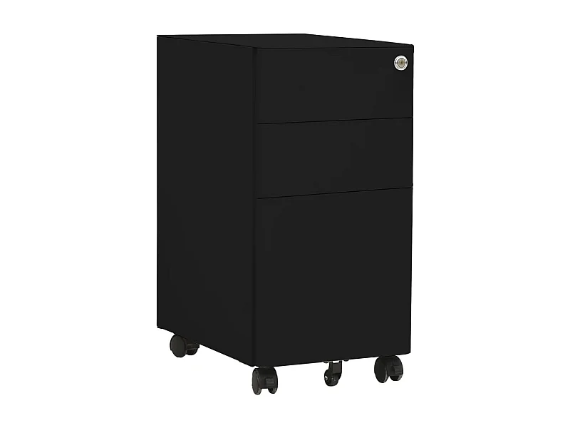 Schedario Mobile Nero 30x45x59 cm in Acciaio