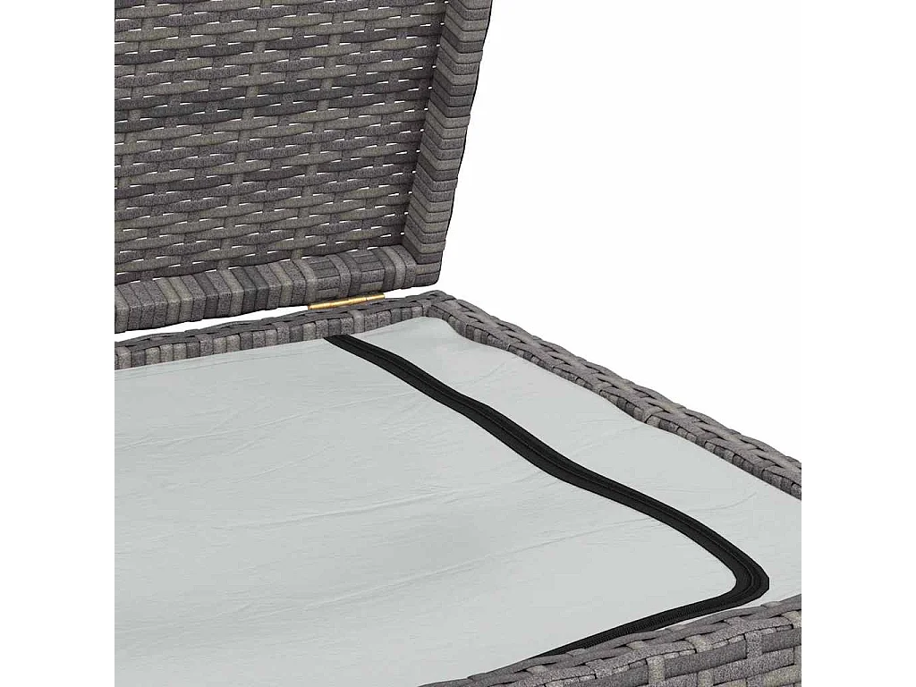 Boîte de rangement de jardin gris 120x50x60 cm résine tressée