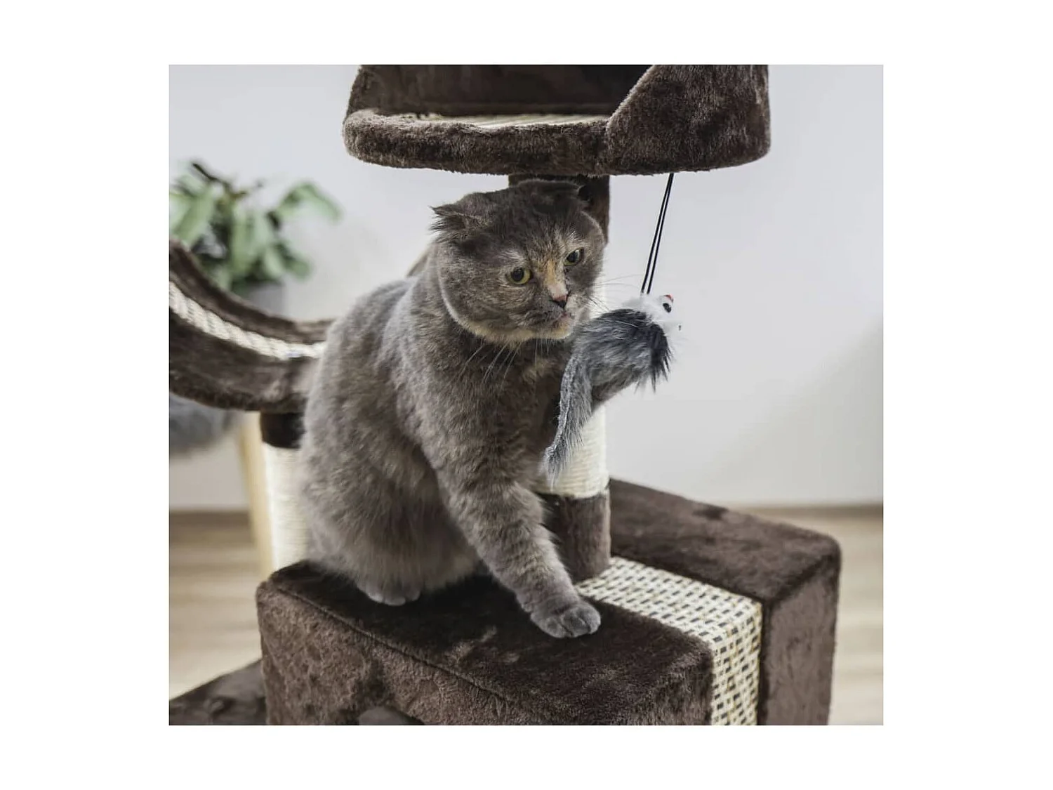 Arbre à chat Safari Big 122 cm Marron foncé