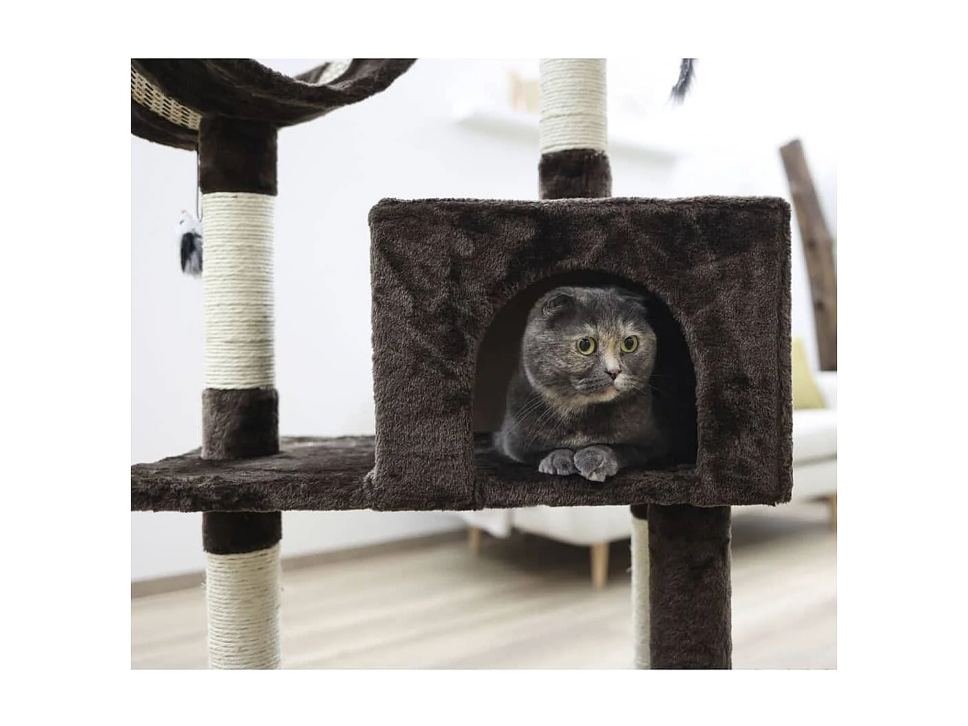 Arbre à chat Safari Big 122 cm Marron foncé