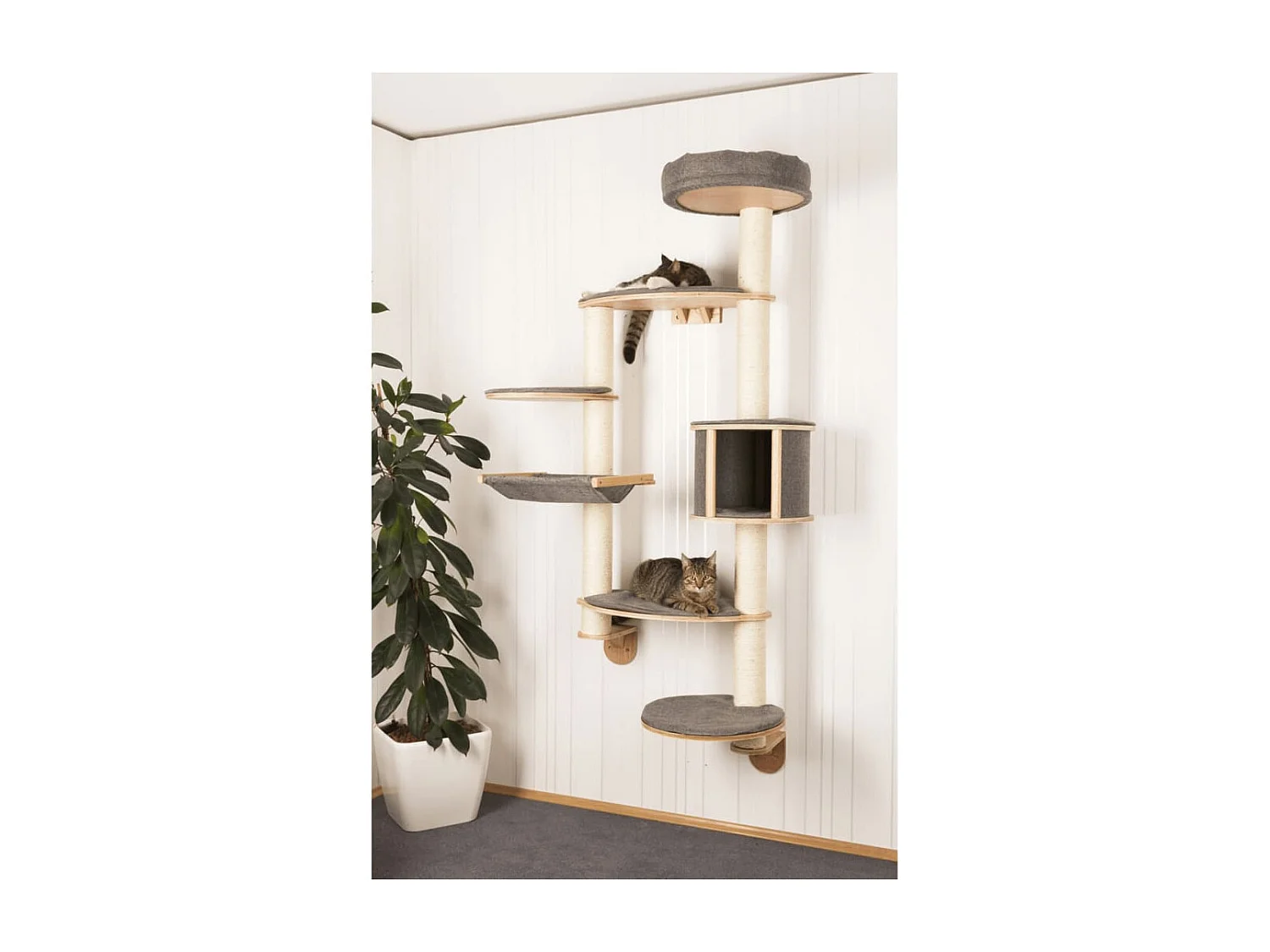 Wandkratzbaum Dolomit XL Tofana Grau 185 cm 81541