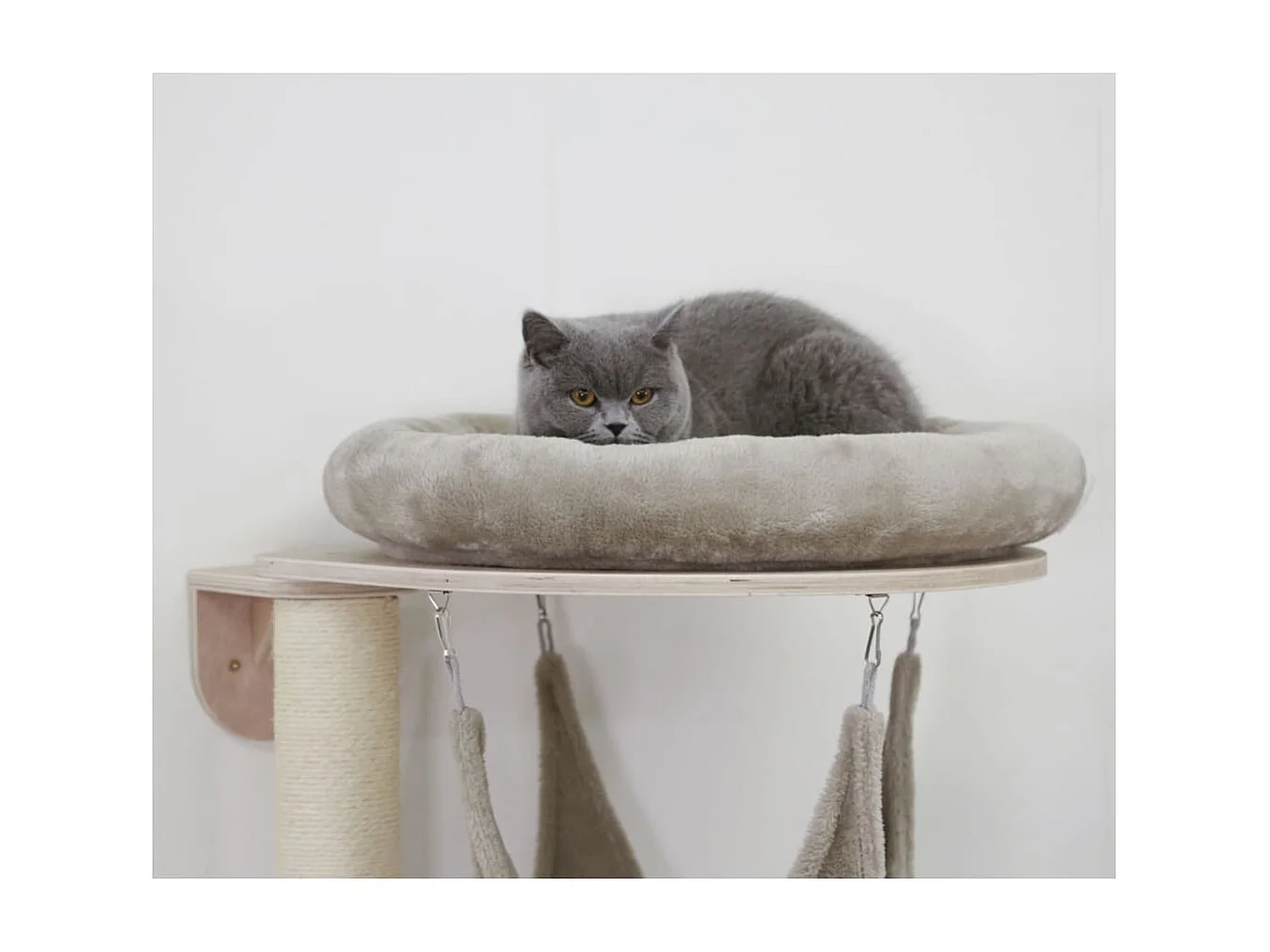 Arbre à chat mural Dolomit Grappa 158 cm Taupe