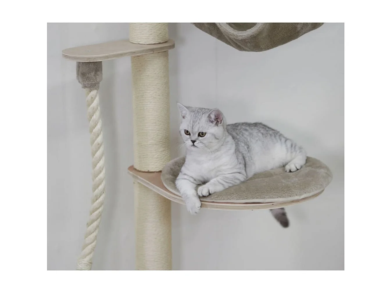 Arbre à chat mural Dolomit Grappa 158 cm Taupe