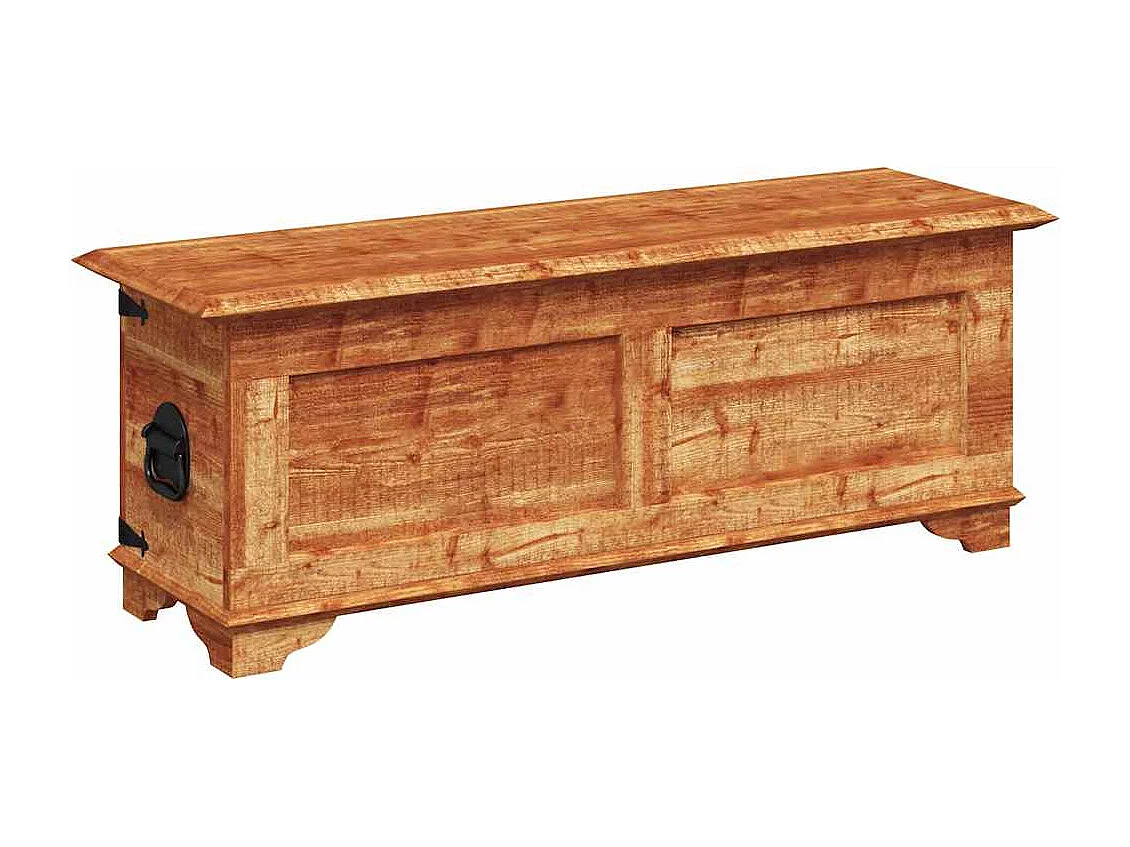 Coffre de rangement Bois de manguier brut