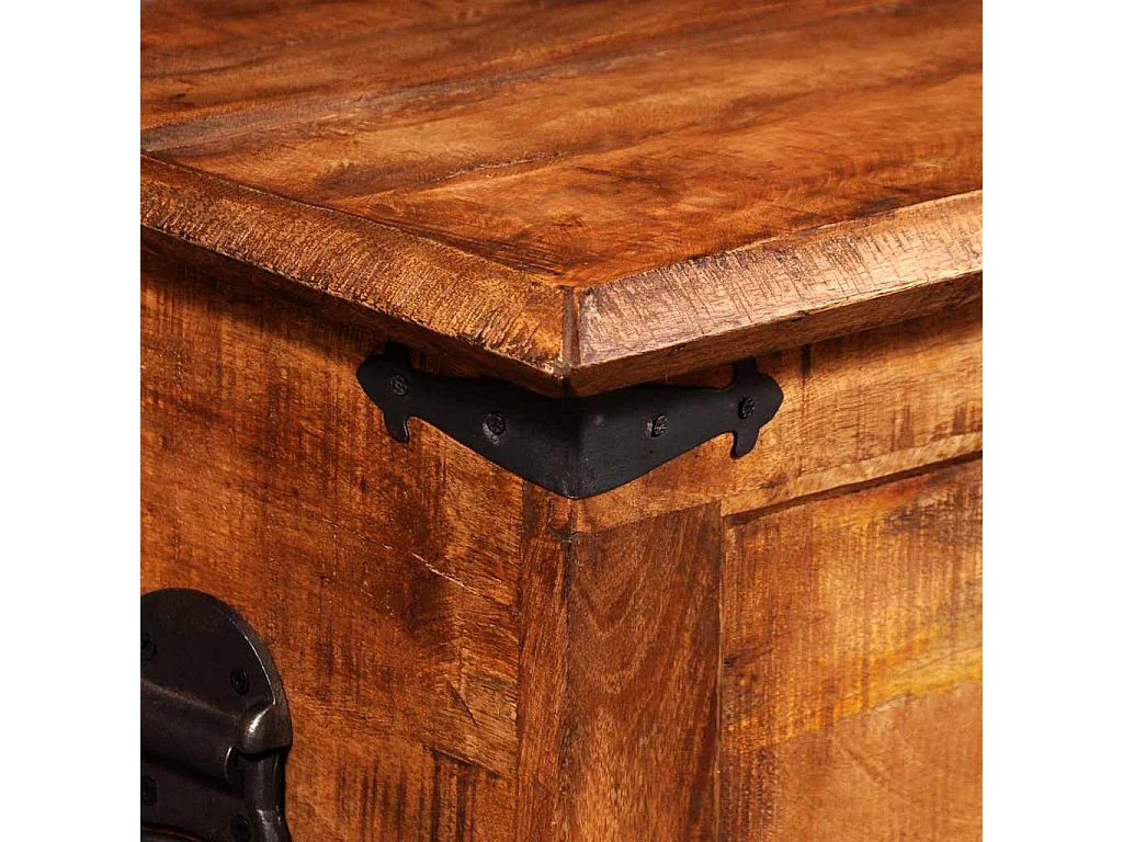 Coffre de rangement Bois de manguier brut