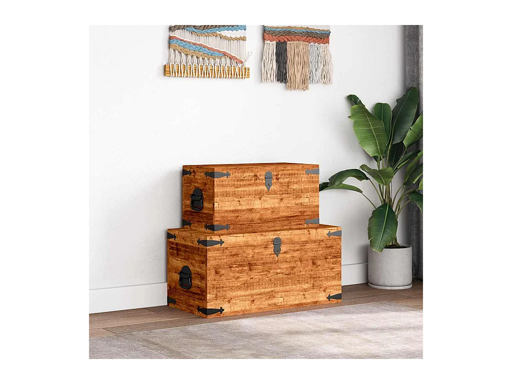 2-delige Opbergkistenset ruw mangohout