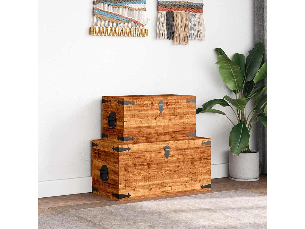 Coffre de rangement 2 pcs Bois de manguier brut