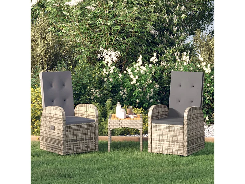 Chaise inclinable de jardin 2pc et coussins Résine tressée Gris