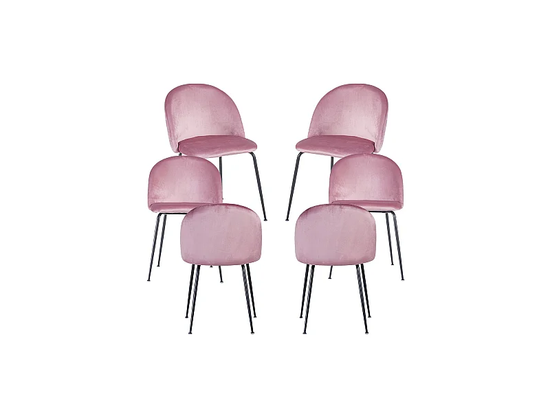 Packs Sillas Comedor - Pack 6 Sillas Black Dalnia Terciopelo - Rosa