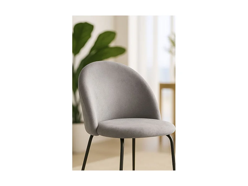 Packs Sillas Comedor - Pack 4 Sillas Black Dalnia Terciopelo - Gris claro
