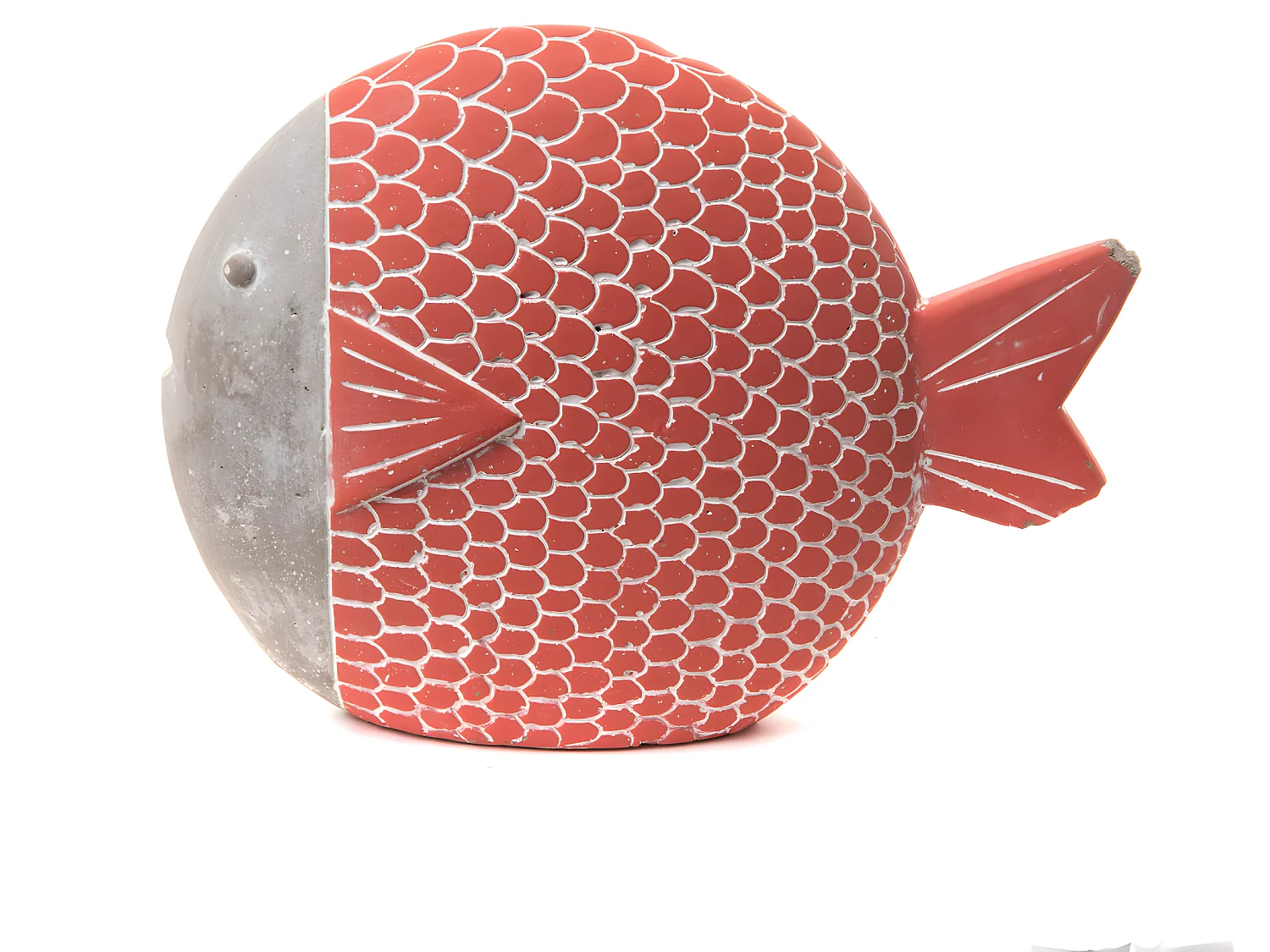 Poisson corail à poser