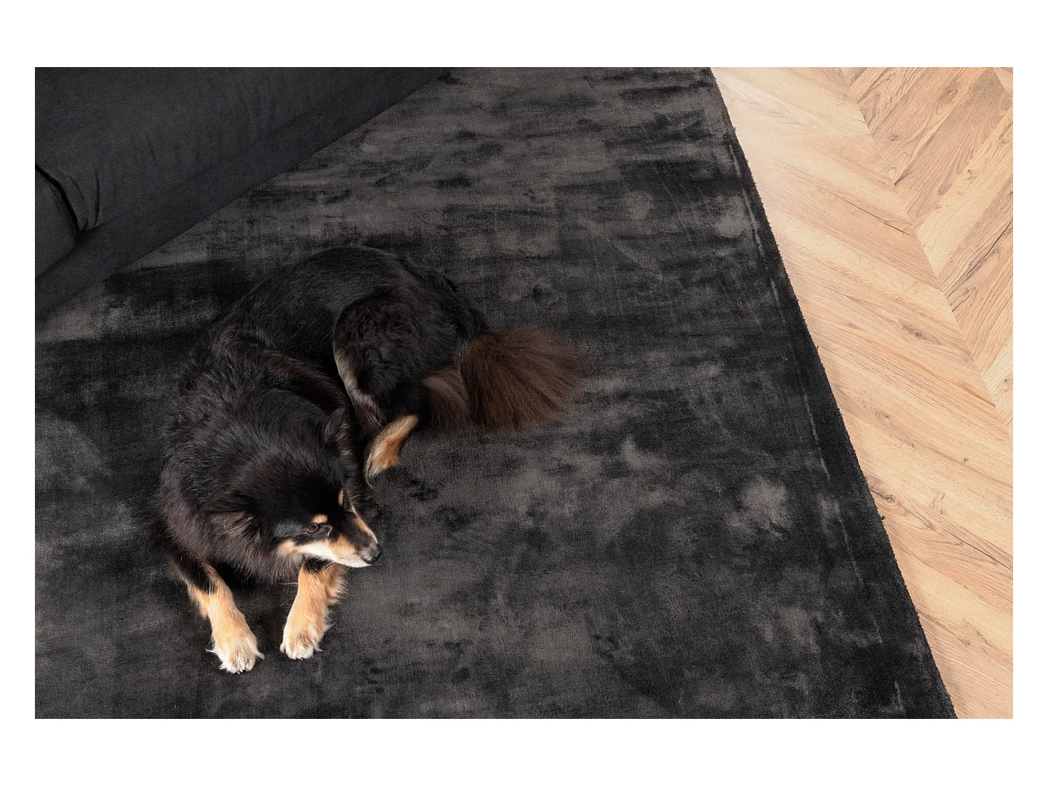 Tapis Déco "Indra" 201x301cm Gris Foncé