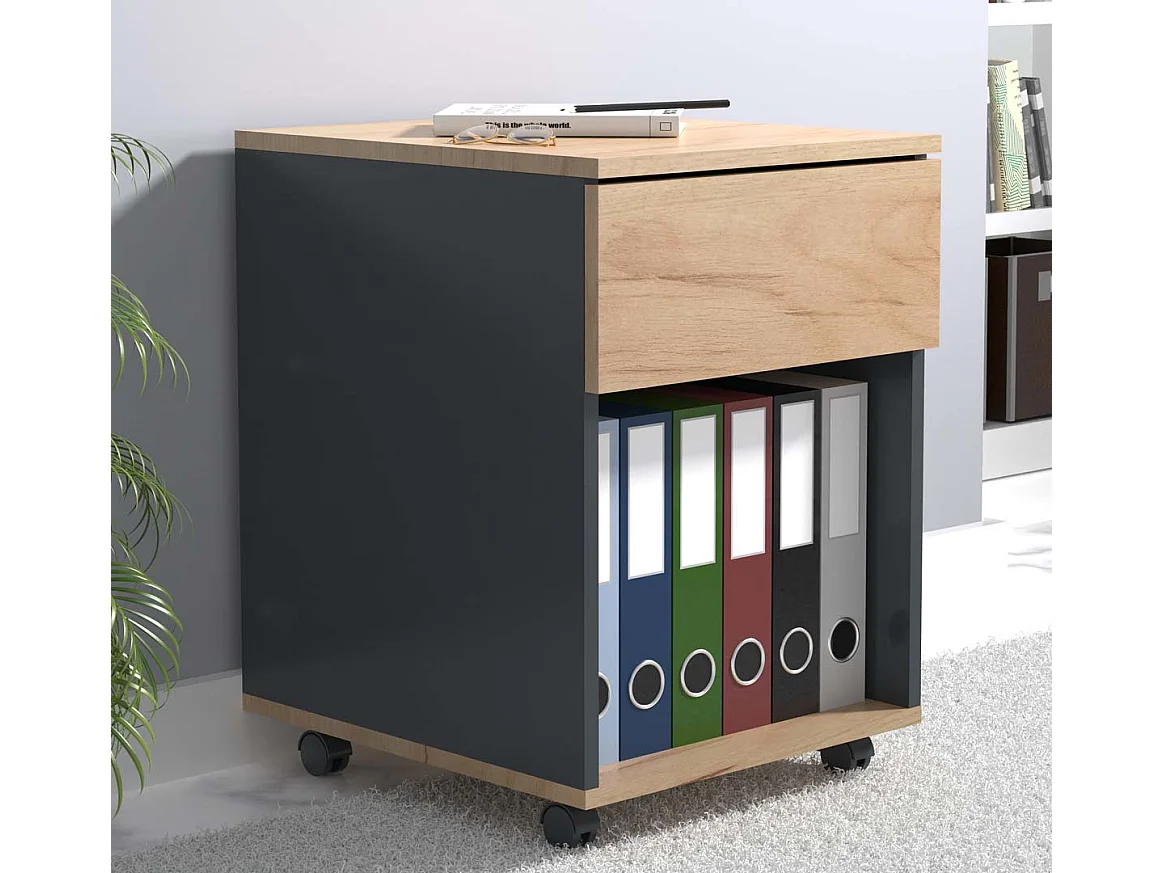 Roll Container Dalosa Anthracite / honey oak H. 55 x W. 39 x D. 45 cm