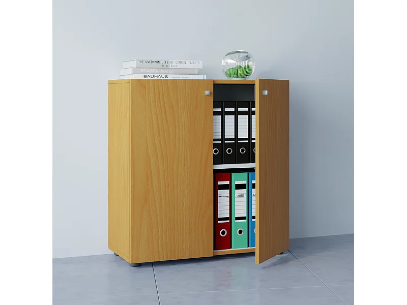 Kantoorkast dossierkast Lona 2-voudig