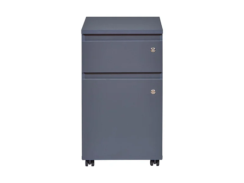 Cassetta per cassetti FileGuard 1 cassetto, 1 anta con chiave grigia.