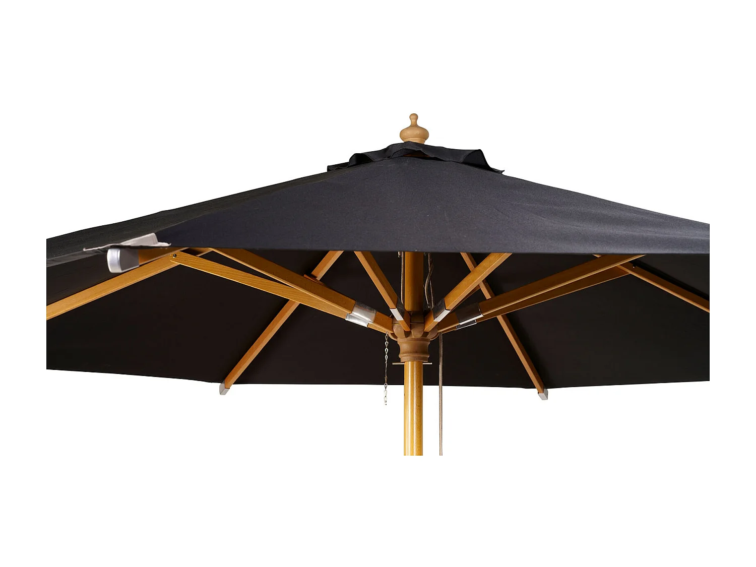 Naxos parasol zwart, natuur.