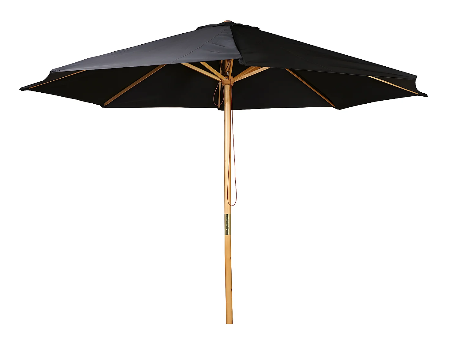 Naxos parasol zwart, natuur.