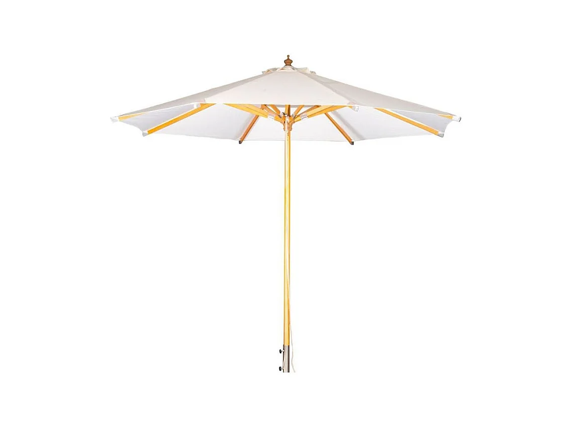 Naxos parasol wit, natuur.