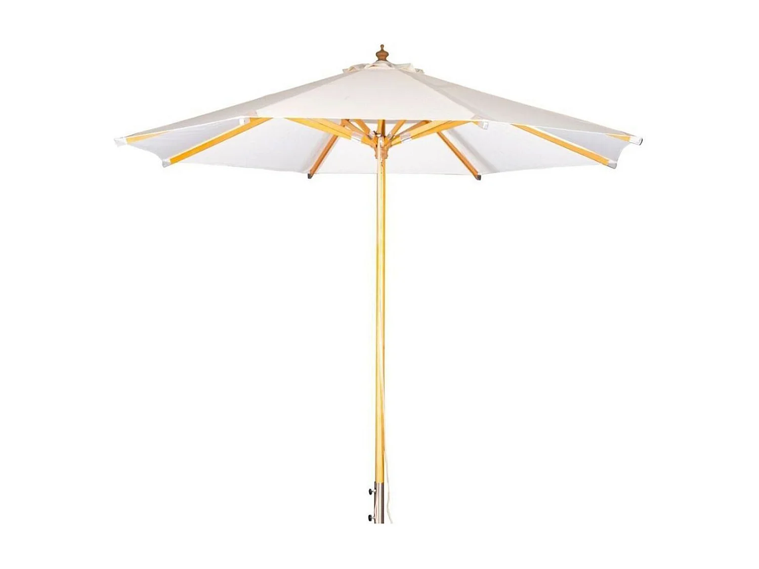 Naxos parasol wit, natuur.