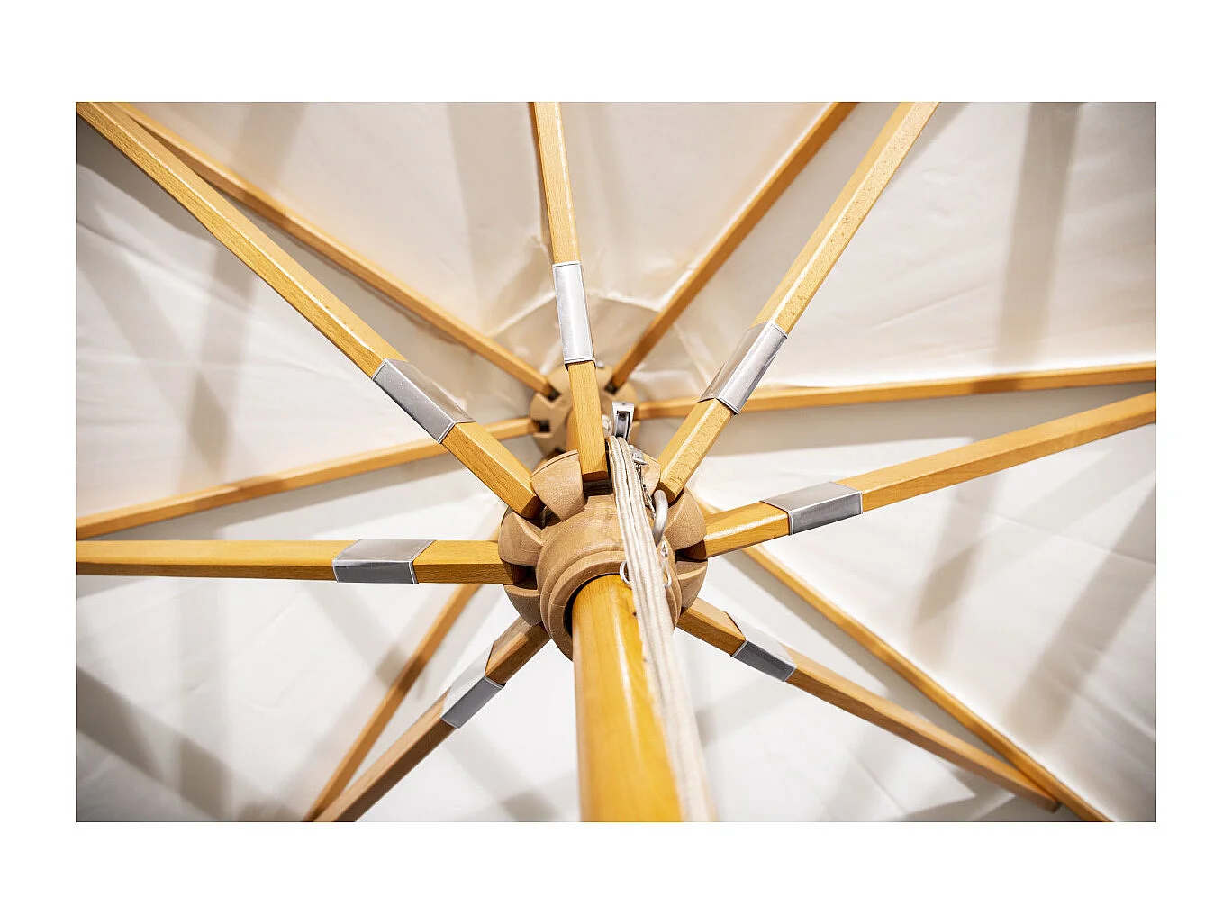 Naxos parasol wit, natuur.