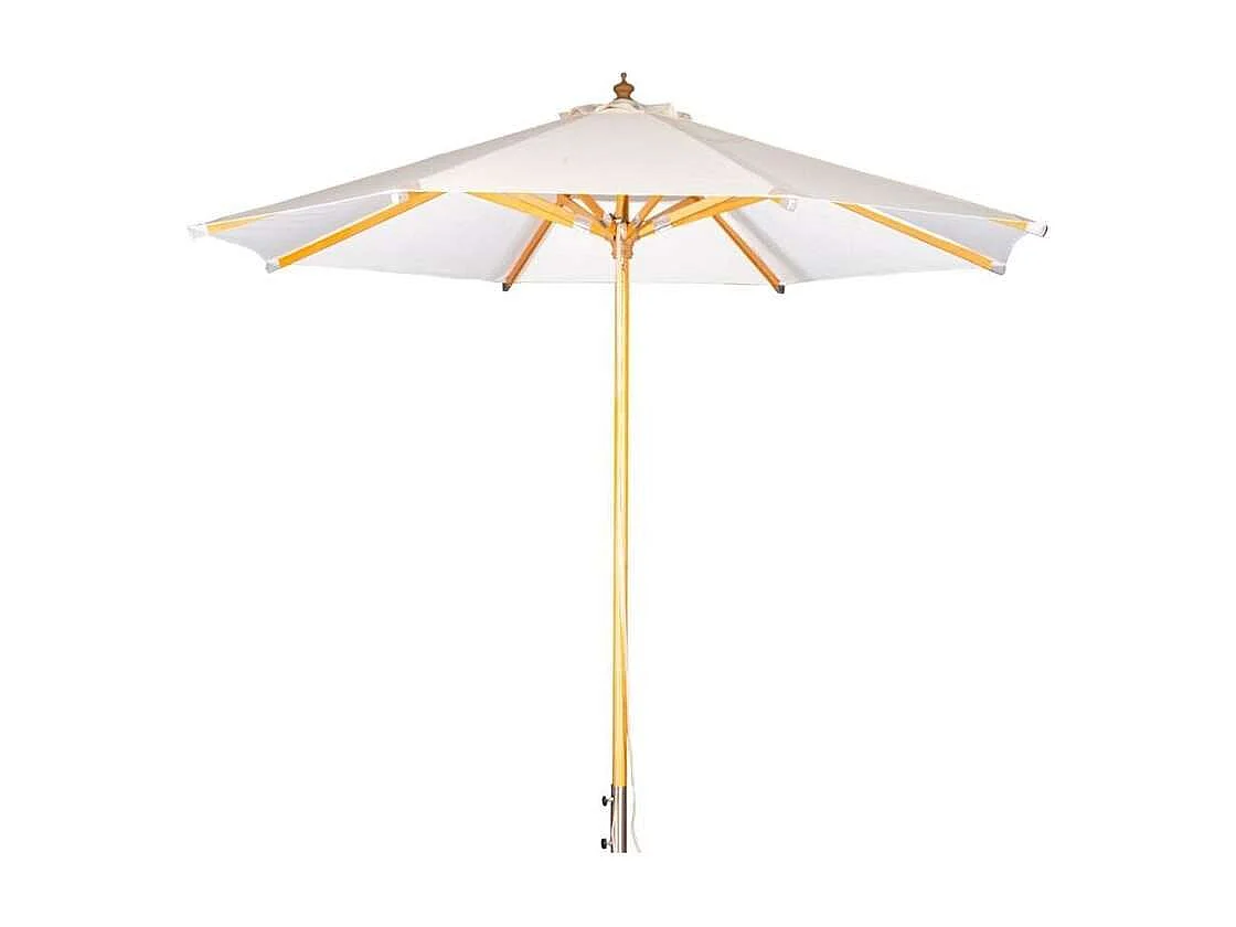 Naxos parasol wit, natuur.