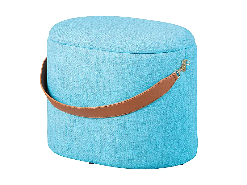 Dirax Repose-pieds/Tabouret avec compartiment de rangement bleu et marron.