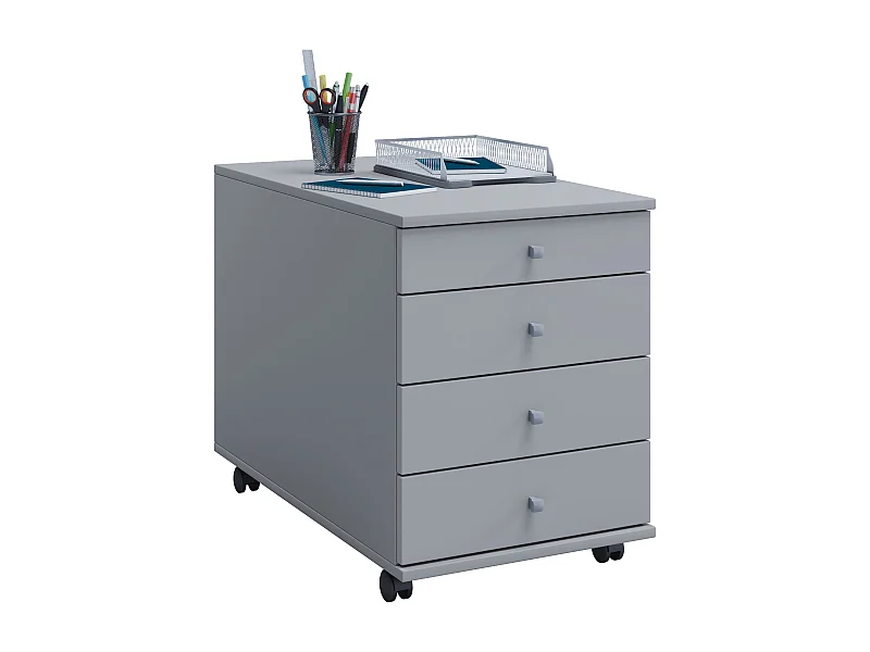 Roll Container Lona Gray H. 57 x W. 42 x D. 75 cm