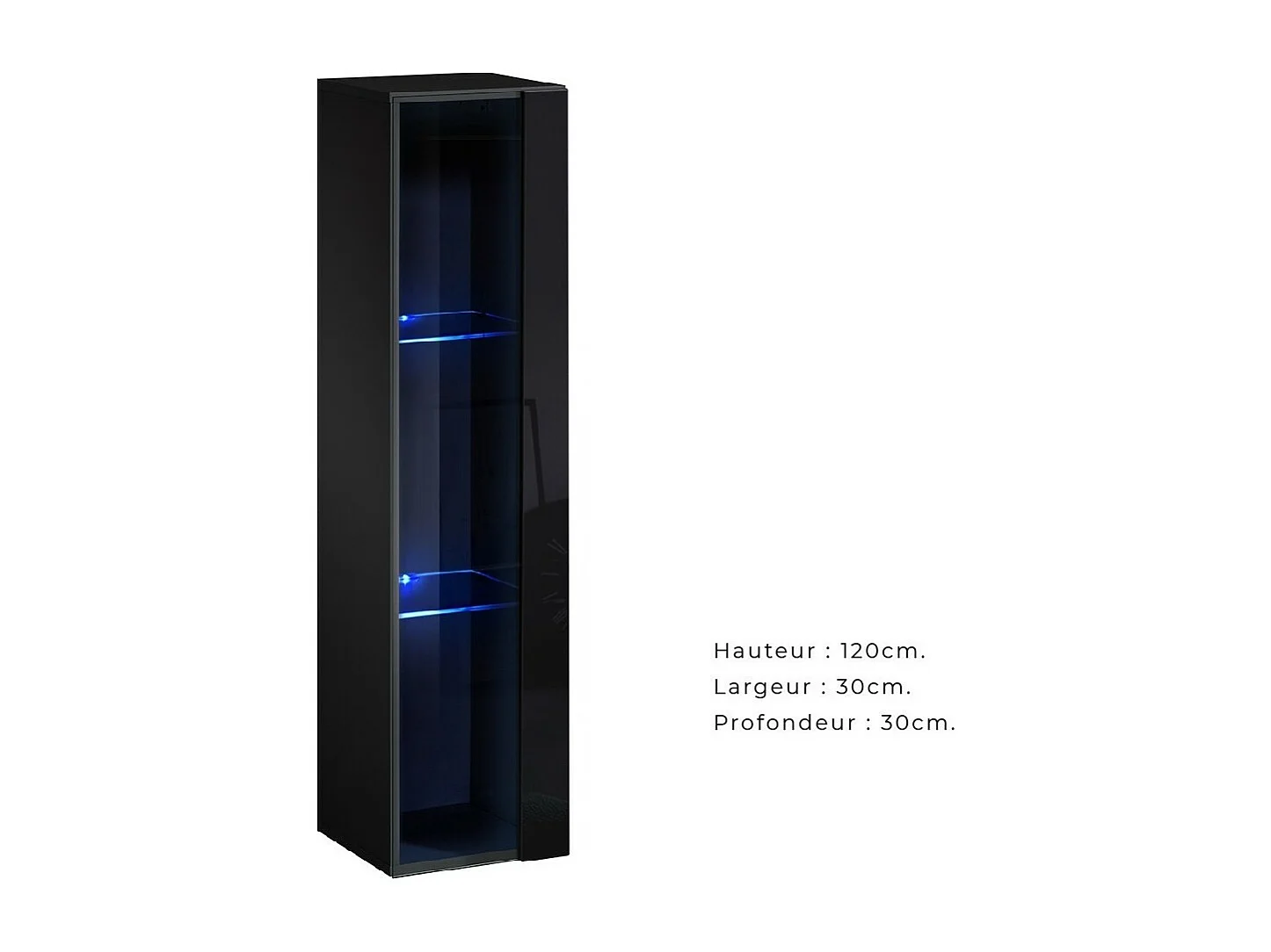 Vitrina colgante negra modelo pequeño con 1 puerta de vidrio y iluminación LED incluida. Colección SWITCH.