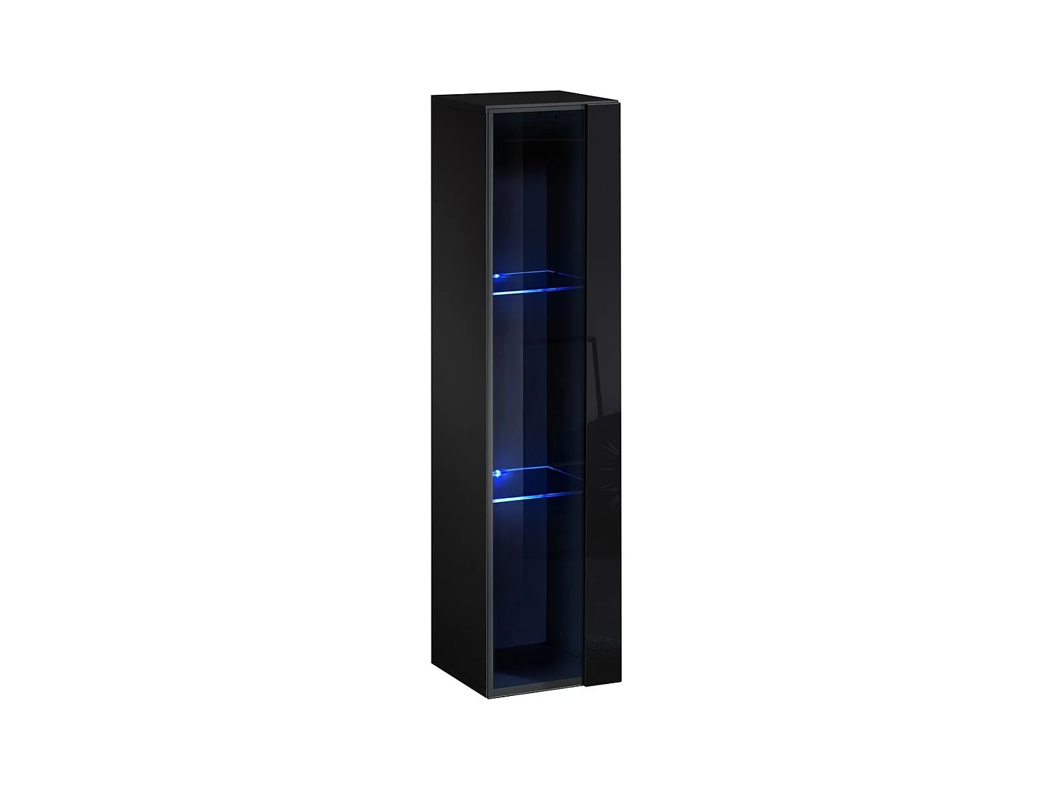 Vitrine suspendue noire petit modèle avec 1 porte vitrée et éclairage LED inclus. Collection SWITCH.