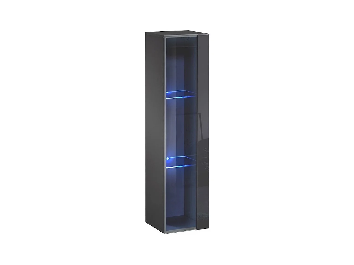 Hangende vitrinekast – Grijs – Collectie SWITCH – Glazen deur en LED inbegrepen – Klein model