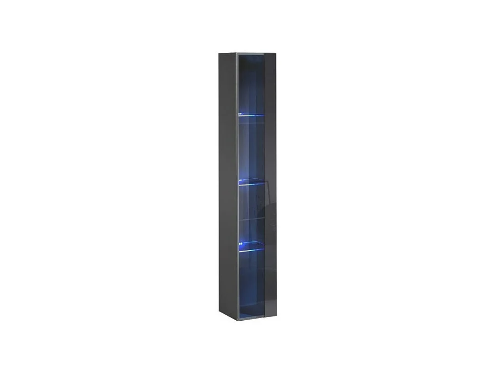 <hanging display case - Gray - SWITCH Collection - Glass door and included LED - Large model