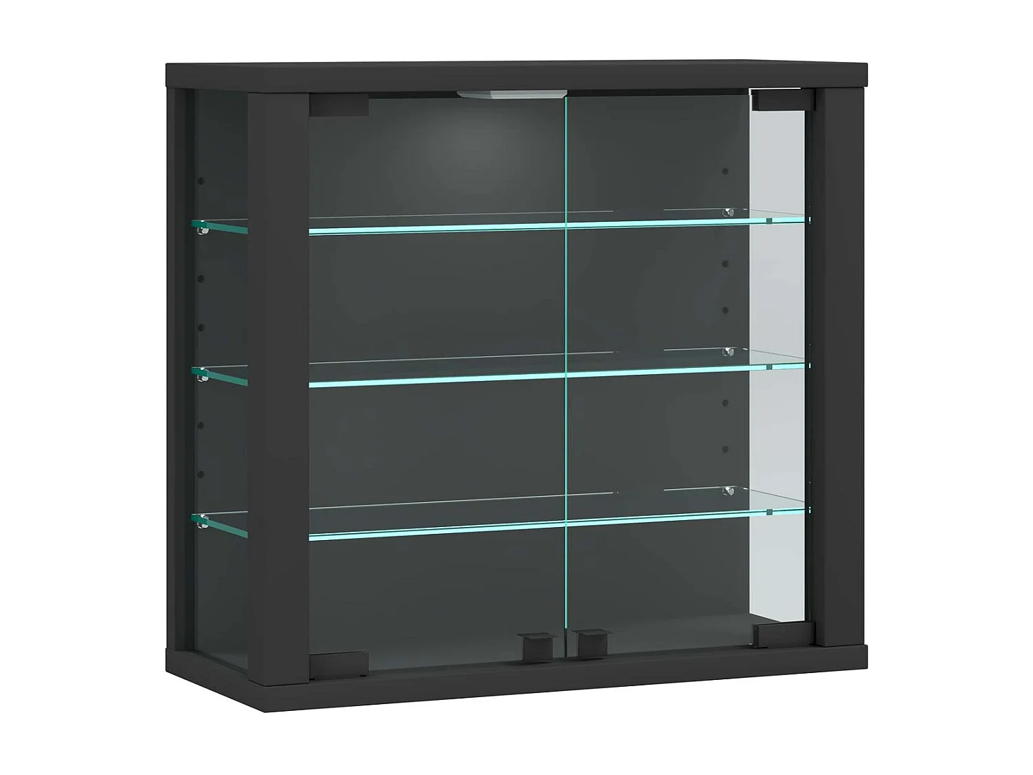 Wandvitrinekast Glazen vitrine Vitrosa S